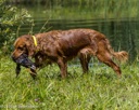 20260725-JHW-0229