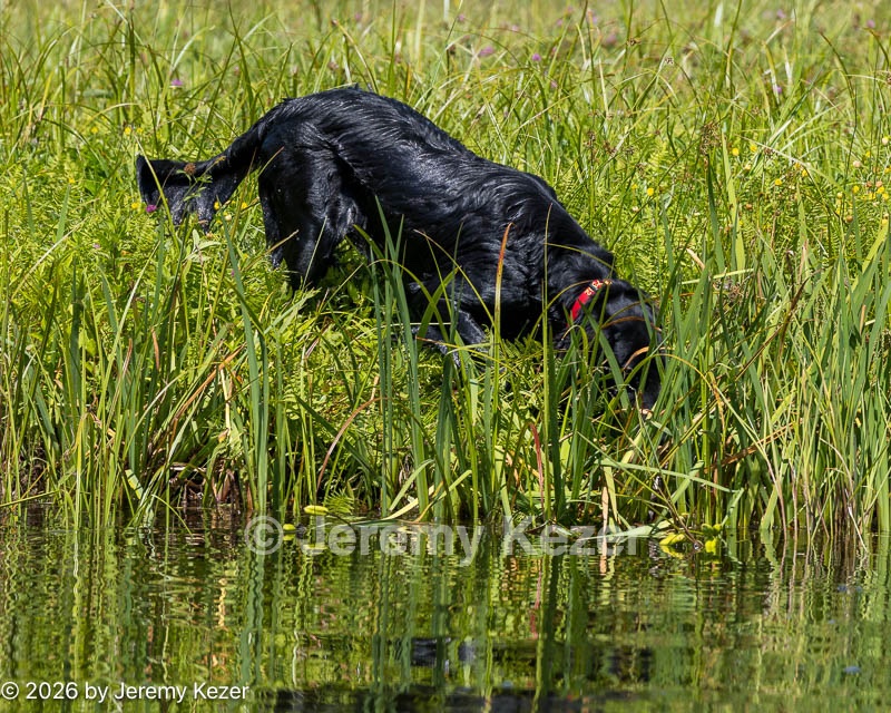 20260725-JHW-0003.jpg