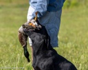 20260726-SHL-0020
