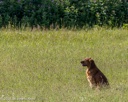 20260726-SHL-0043