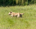 20260726-SHL-0051