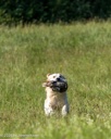 20260726-SHL-0069
