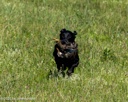 20260726-SHL-0088