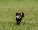 20260726-SHL-0098