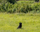 20260726-SHL-0175