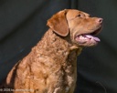 20260726-SHL-0196