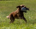 20260726-SHL-0211
