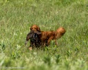 20260726-SHL-0247