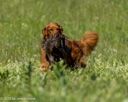 20260726-SHL-0249