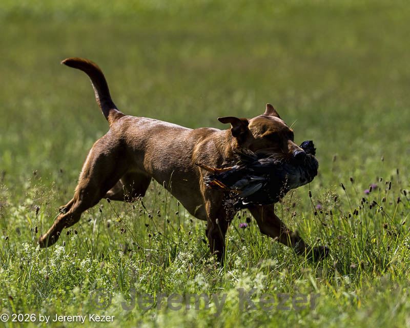 20260726-shl-0194.jpg