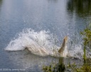20260726-SHW-0076