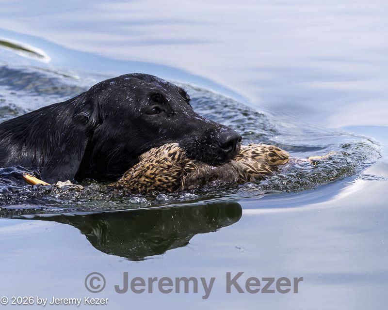 20260726-shw-0180.jpg