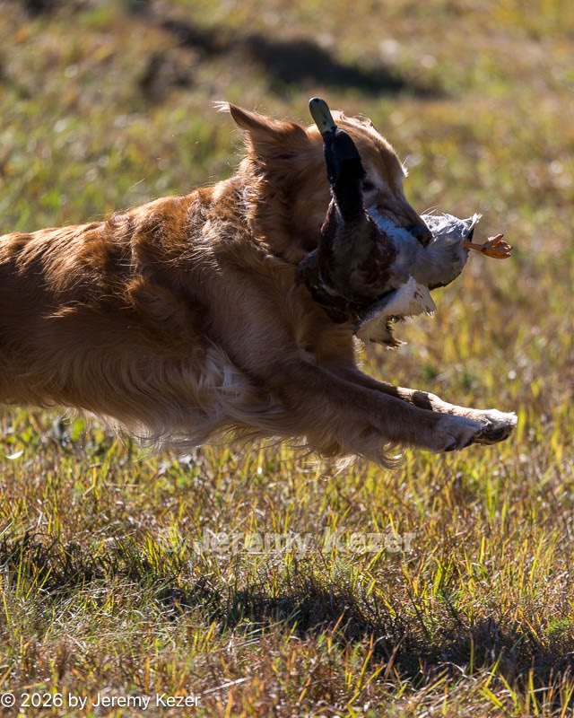 20261003-WCL-0183.jpg