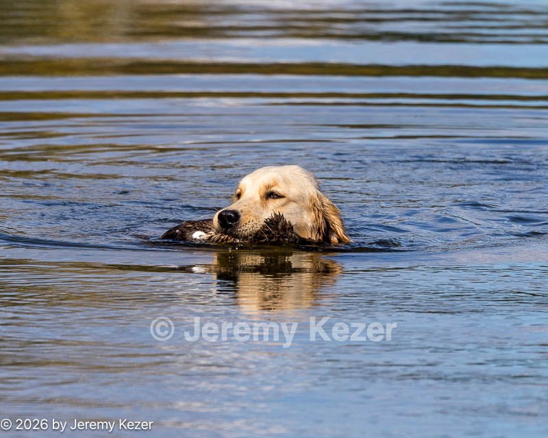 20261003-WCW-0089.jpg