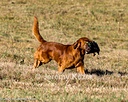 20261003-WCXL-0005