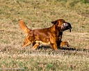 20261003-WCXL-0006