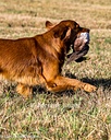 20261003-WCXL-0009