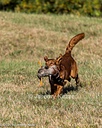 20261003-WCXL-0013