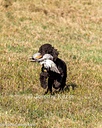 20261003-WCXL-0028