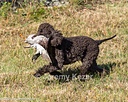 20261003-WCXL-0030