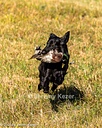 20261003-WCXL-0042