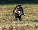 20261003-WCXL-0047