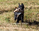 20261003-WCXL-0050