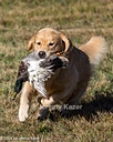 20261003-WCXL-0060