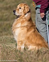 20261003-WCXL-0097