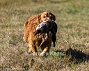 20261003-WCXL-0116