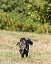 20261003-WCXL-0138
