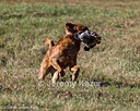 20261003-WCXL-0154