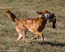 20261003-WCXL-0156