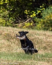 20261003-WCXL-0173