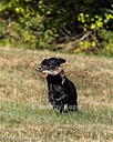 20261003-WCXL-0175