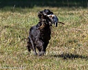 20261003-WCXL-0179