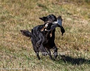 20261003-WCXL-0182