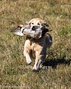 20261003-WCXL-0186
