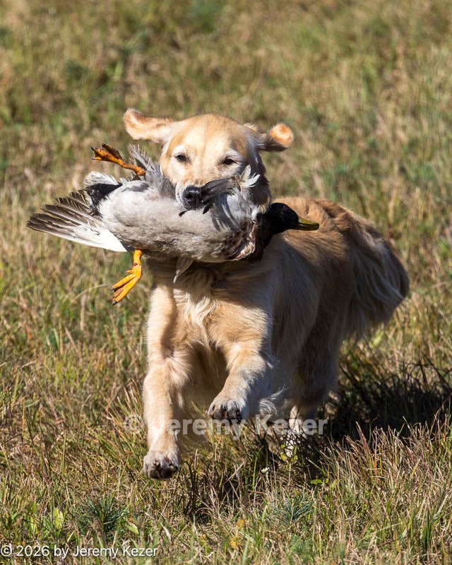 20261003-WCXL-0188.jpg