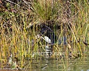 20261003-WCXW-0183