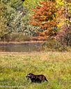 20261010-JHL-0194