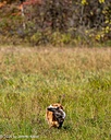 20261010-JHL-0225