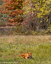 20261010-JHL-0281