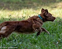 20261010-JHL-0357