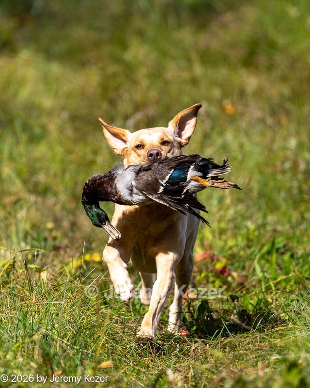 20261010-JHL-0335.jpg