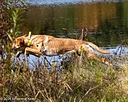 20261010-JHW-0016