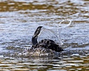 20261010-JHW-0036