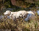 20261010-JHW-0123