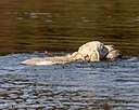 20261010-JHW-0129