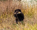 20261010-JHW-0145